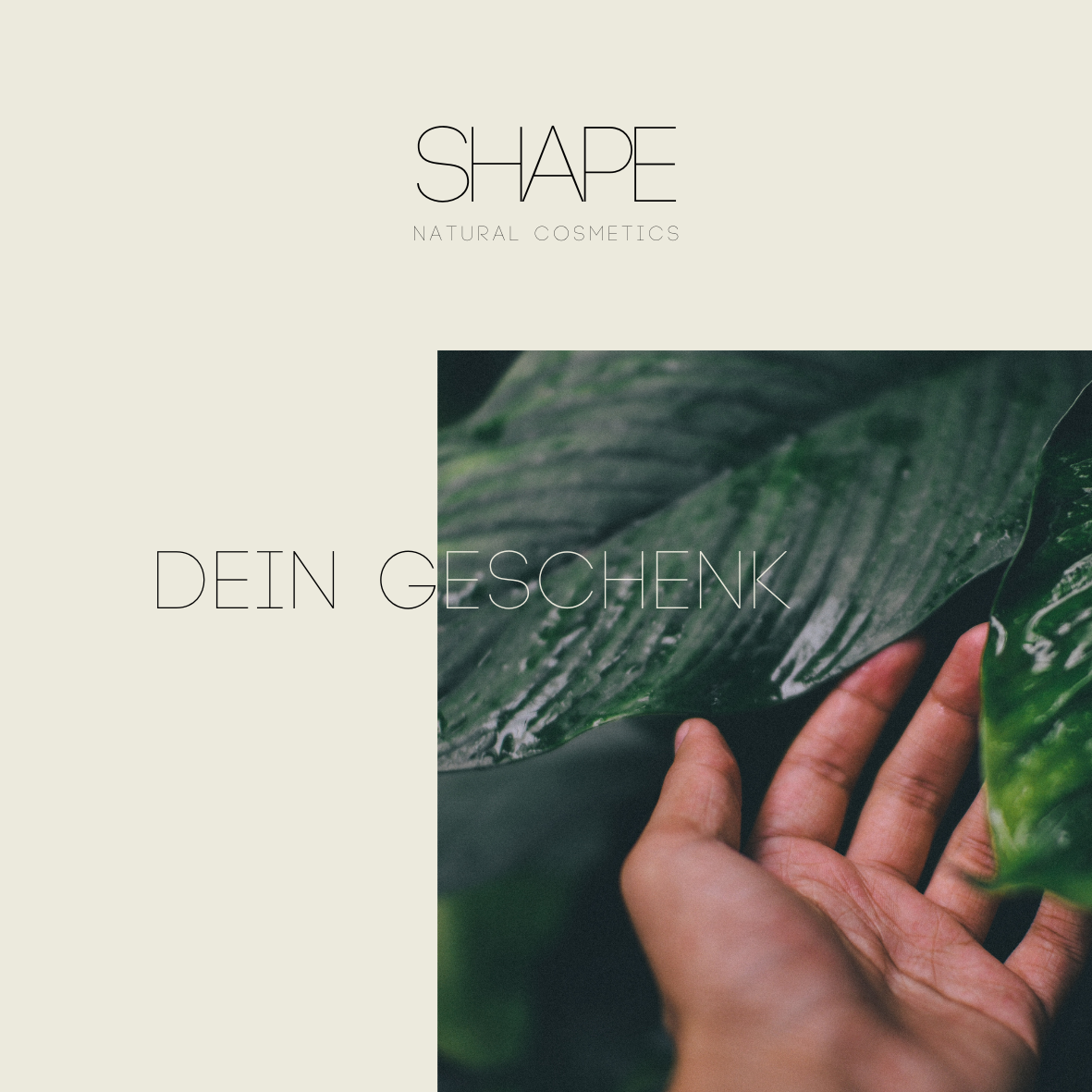 SHAPE Cosmetics Geschenkgutschein